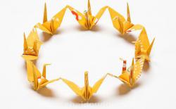 日本的千纸鹤——如何折简单的“连鹤”和“单鹤”的折法