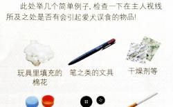 注意家中危险物品，防止柴犬误食事故