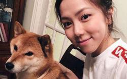 三个多月的柴犬为什么不喜欢让人摸？