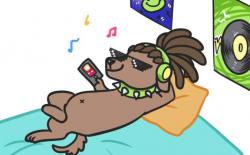 柴犬狗狗喜欢什么音乐？