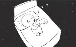 感人：狗狗披麻戴孝送别主人，一个月后同天离世