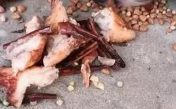 狗狗长期被锁在狭小门缝，养它就要对它好一辈子